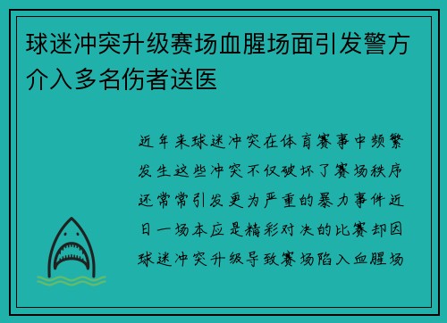 球迷冲突升级赛场血腥场面引发警方介入多名伤者送医